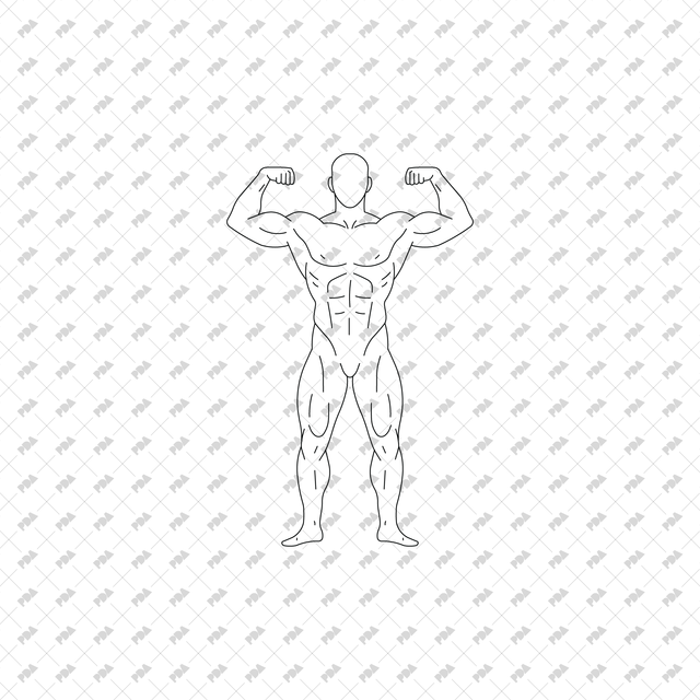 CAD Vector PNG Bodybuilders - Post Digital Architecture — Free and Affordable Resources for Architects
