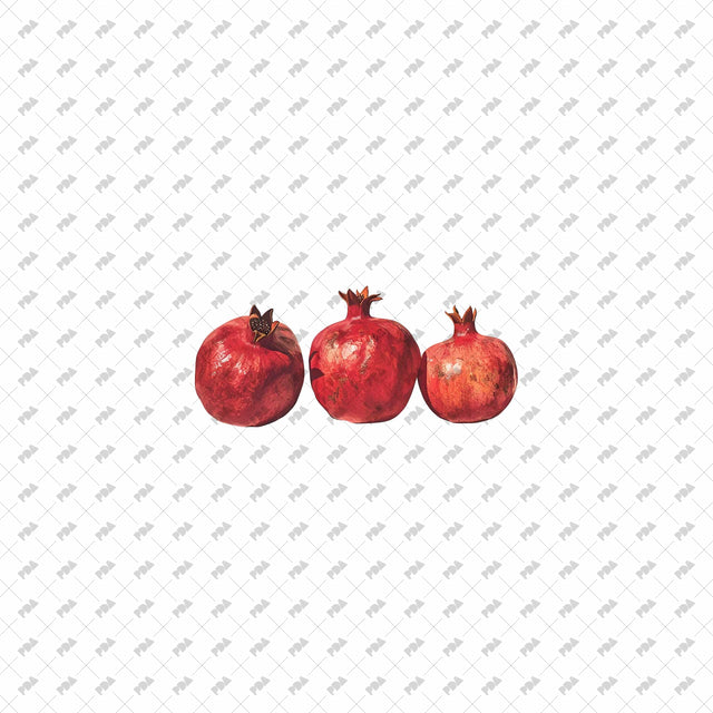 PNG Post Digital Fruits and Veggies Set - Post Digital Architecture — Free and Affordable Resources for Architects