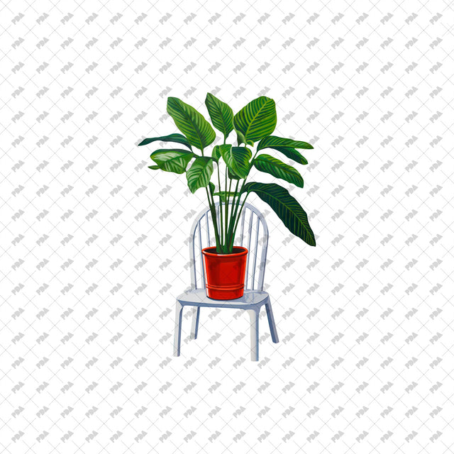 PNG Post Digital Collage Plants