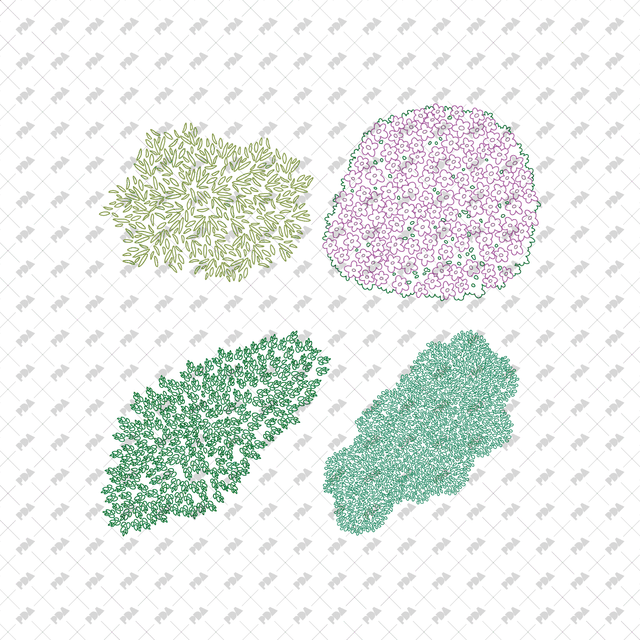 CAD, Vector, PNG Shrubs and Bushes in Color and B/W (Top View) - Post Digital Architecture — Free and Affordable Resources for Architects