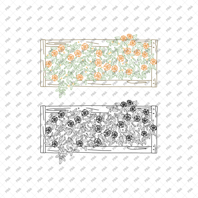 CAD, Vector, PNG Street Urban Planters in Color and B/W (Top View) - Post Digital Architecture — Free and Affordable Resources for Architects