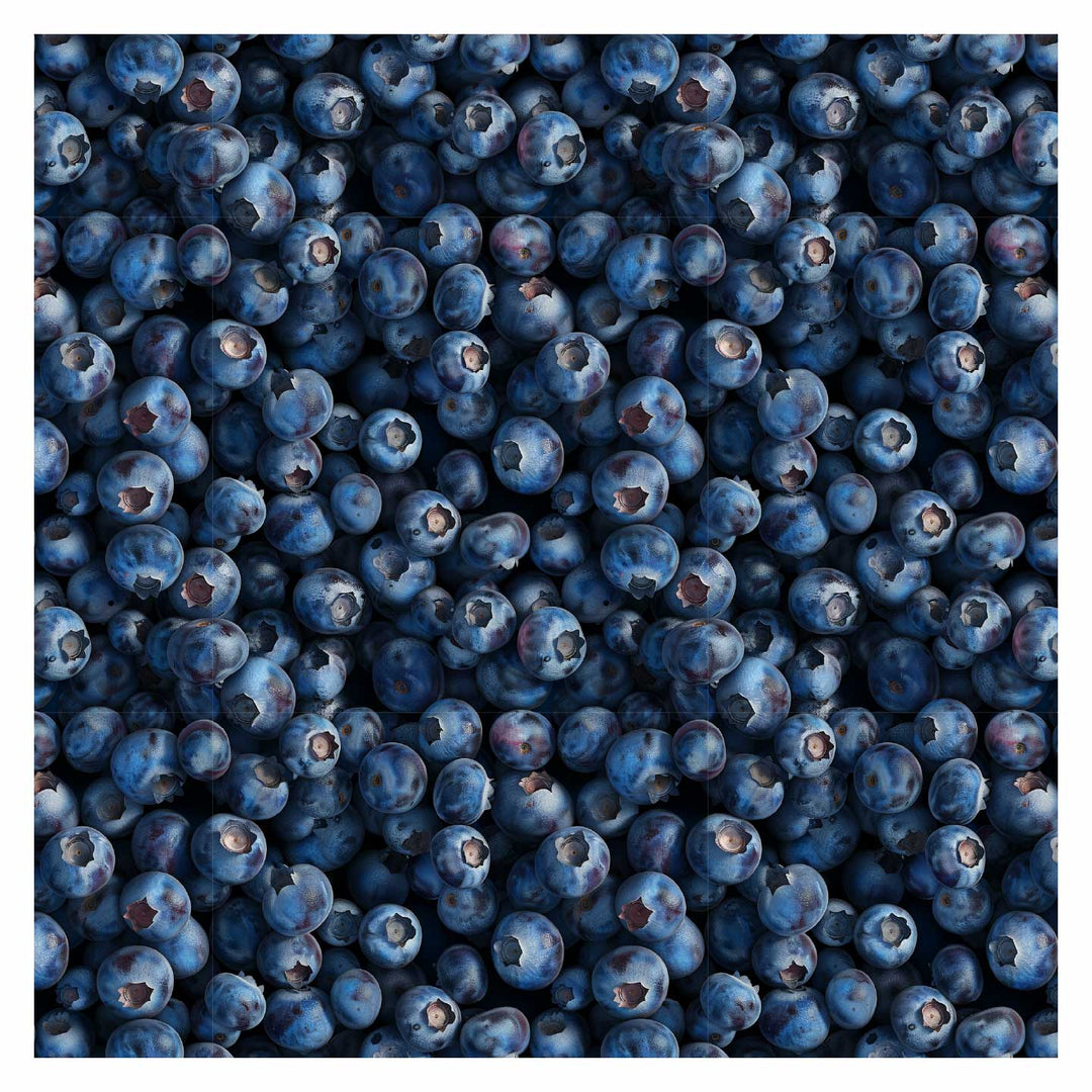 Berry Texture Vector Pattern Library - Berries Textures (In top view)