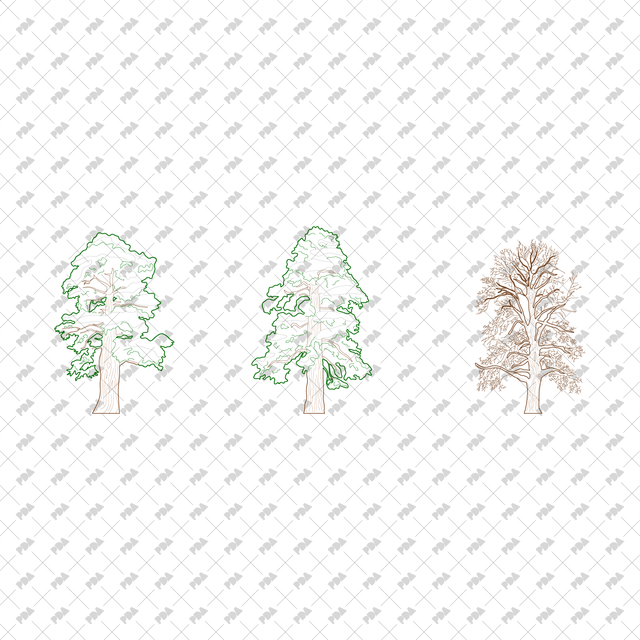 CAD, Vector, PNG Winter Trees in Color and B/W - Post Digital Architecture — Free and Affordable Resources for Architects