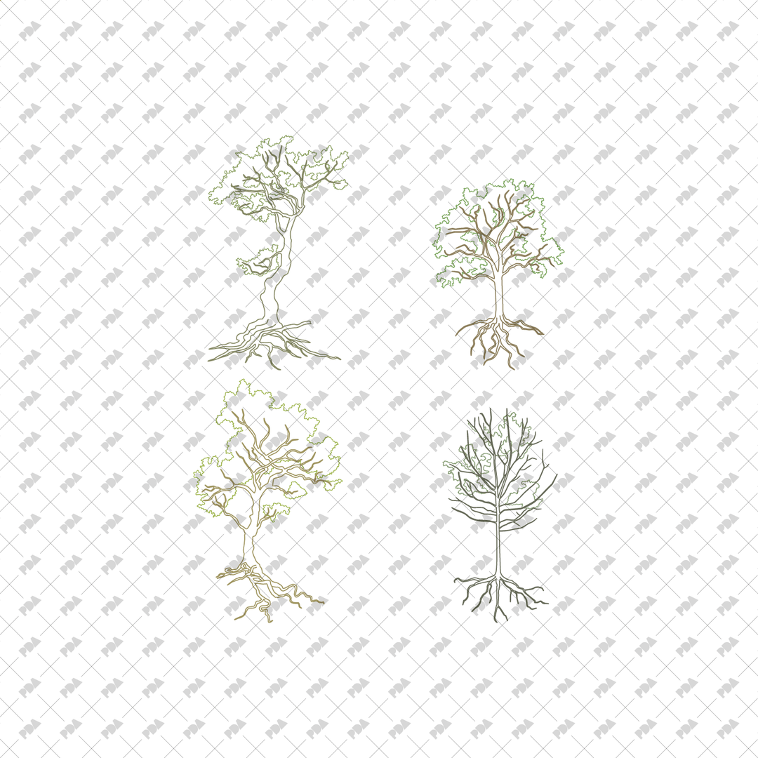 Tree Roots Vector Plan View CAD, Vector Trees with Roots in Color and B/W