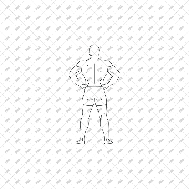 CAD Vector PNG Bodybuilders - Post Digital Architecture — Free and Affordable Resources for Architects
