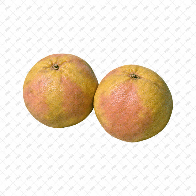 PNG Post Digital Collage Fruit Cutouts - Post Digital Architecture — Free and Affordable Resources for Architects