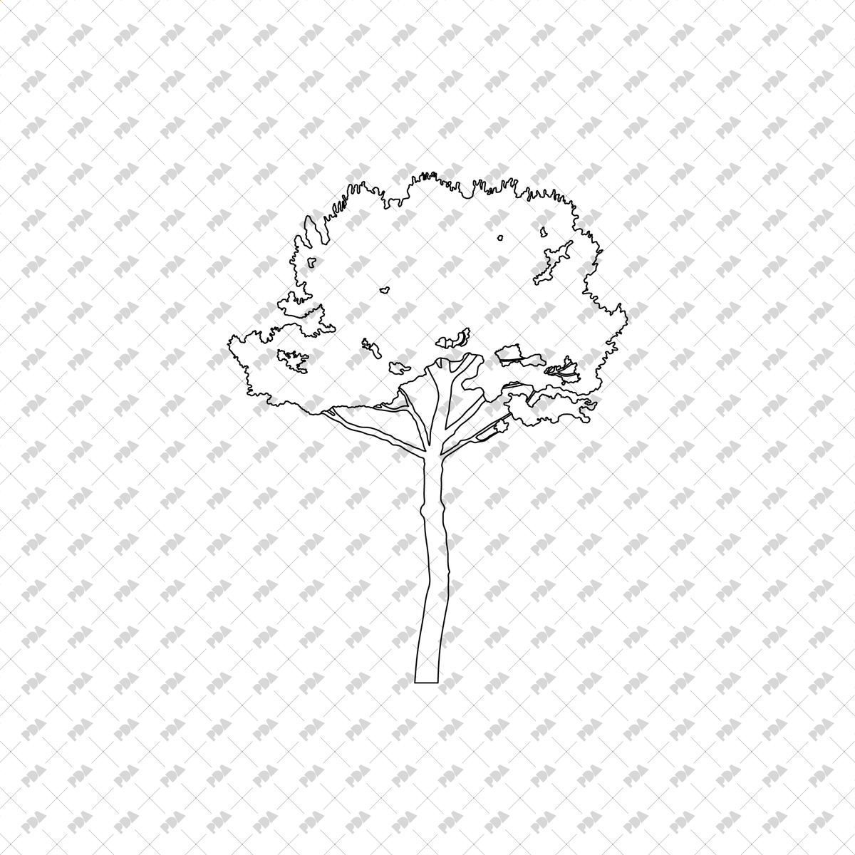 Tree Side Vector CAD, Vector Trees Set (Top and Side View)