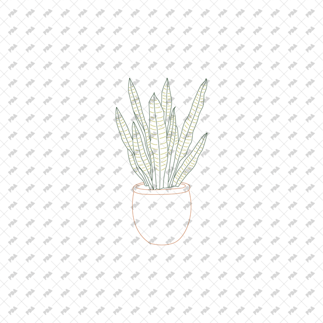 CAD, Vector Indoor Plants in Color and B/W Set (Front view)