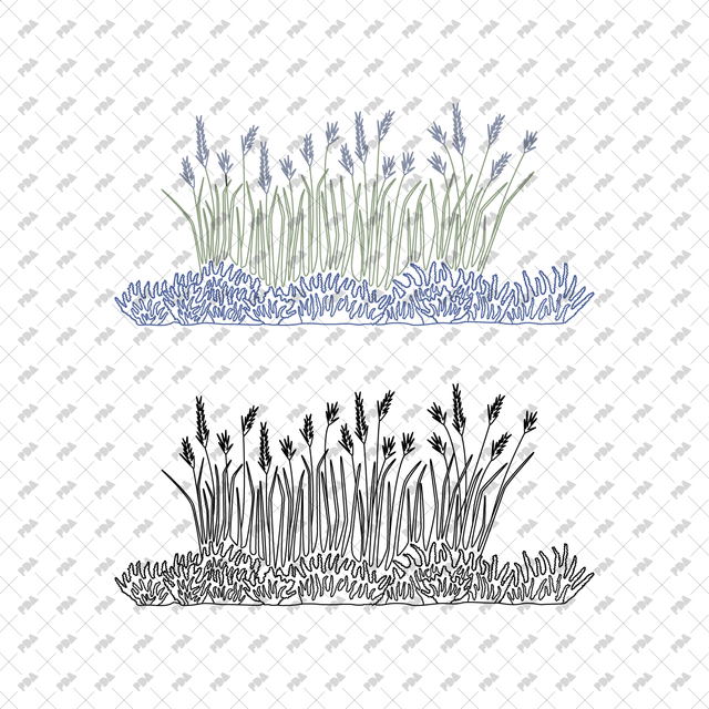 CAD, Vector Grass Beds in Color and B/W - Post Digital Architecture — Free and Affordable Resources for Architects