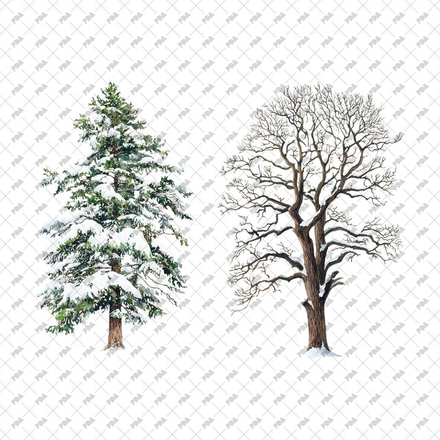 PNG Winter Trees - Post Digital Architecture — Free and Affordable Resources for Architects