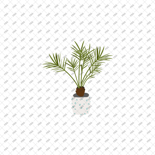 Vector, PNG Indoor Plants - Post Digital Architecture — Free and Affordable Resources for Architects