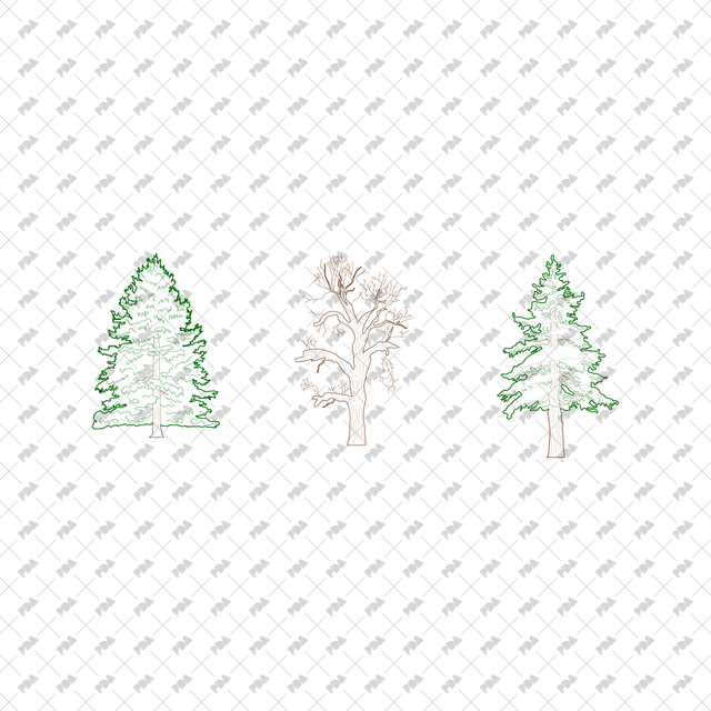 CAD, Vector, PNG Winter Trees in Color and B/W - Post Digital Architecture — Free and Affordable Resources for Architects