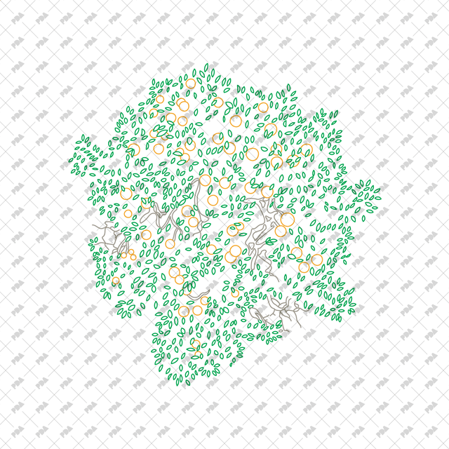 CAD, Vector, PNG Fruit Trees in Color and B/W (Top View) - Post Digital Architecture — Free and Affordable Resources for Architects