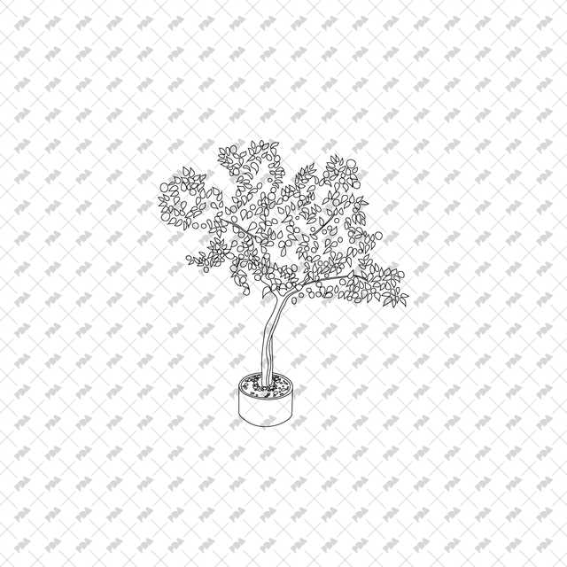 CAD, Vector, PNG Isometric Trees in Planters - Post Digital Architecture — Free and Affordable Resources for Architects