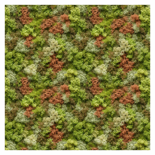 Pattern Library - Seamless Moss Textures - Post Digital Architecture — Free and Affordable Resources for Architects