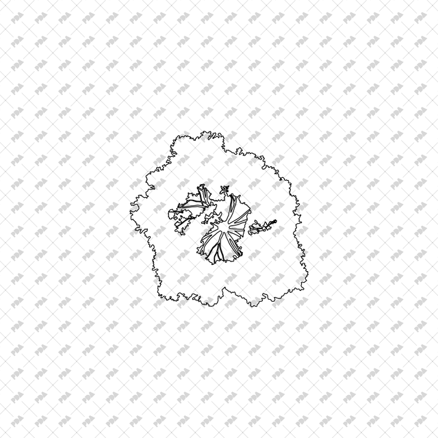 CAD, Vector Trees Set (Top and Side View) - Post Digital Architecture — Free and Affordable Resources for Architects