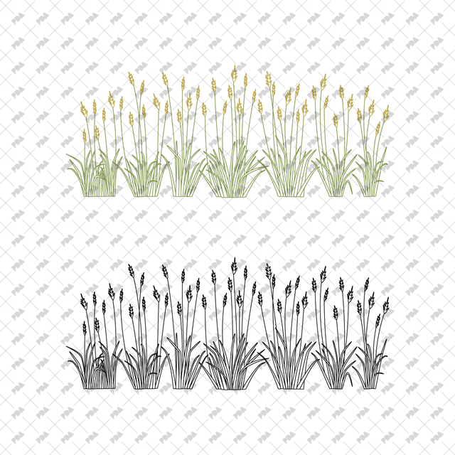 CAD, Vector Grass Beds in Color and B/W - Post Digital Architecture — Free and Affordable Resources for Architects