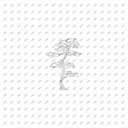 CAD & Vector Tree Illustrations for Architectural Drawings