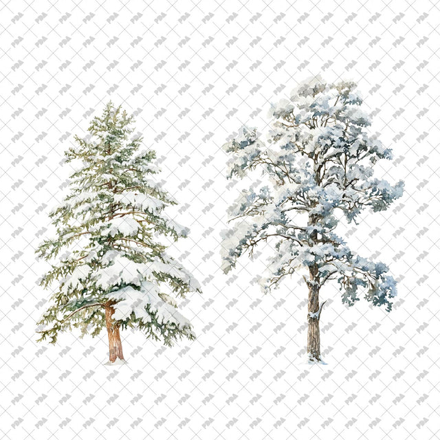 PNG Winter Trees - Post Digital Architecture — Free and Affordable Resources for Architects