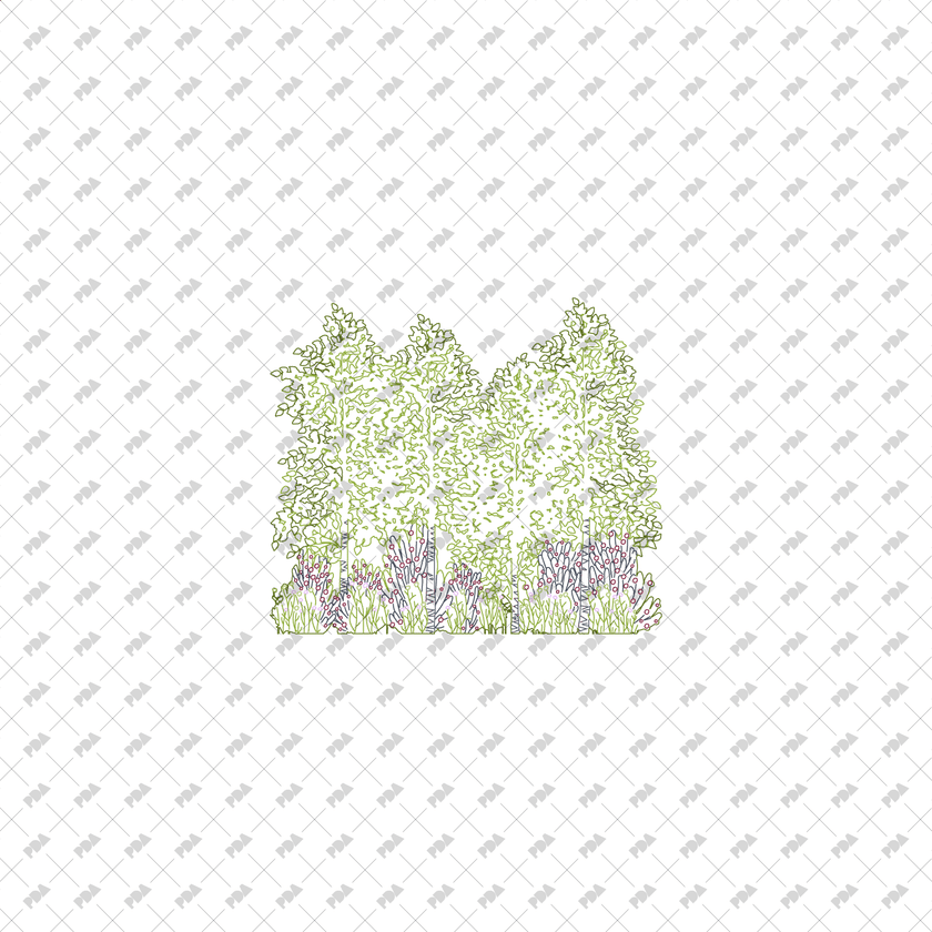 Grooves Vector Icon CAD, Vector Groves of Trees in Color and B/W | Post Digital Architecture