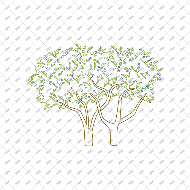 CAD, Vector Fruit Trees in Color and B/W - Post Digital Architecture — Free and Affordable Resources for Architects