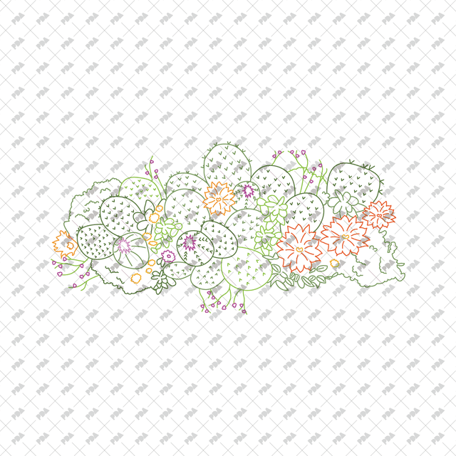 CAD, Vector, PNG Succulent and Cactus Landscapes in Top View in Color and B/W - Post Digital Architecture — Free and Affordable Resources for Architects