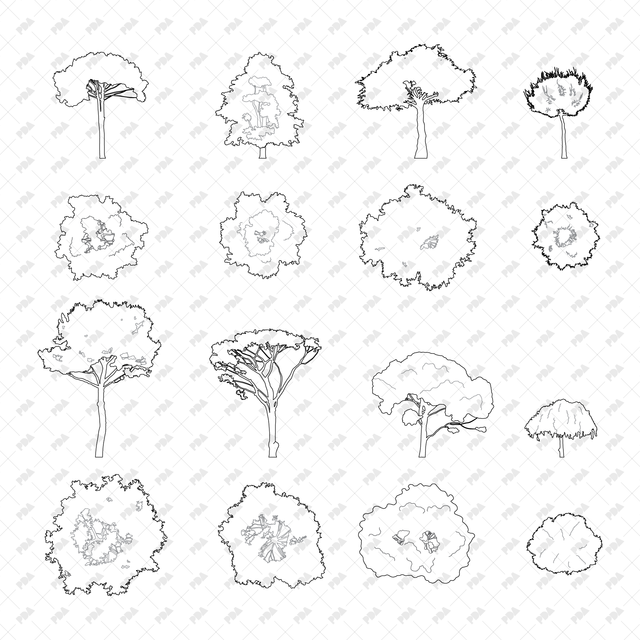 Tree Side View Block CAD, Vector Trees Set (Top and Side View)