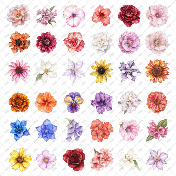 PNG Flowers for Top and Front Views