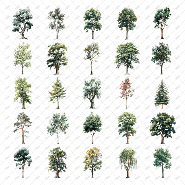 PNG Watercolor Trees - Post Digital Architecture — Free and Affordable Resources for Architects