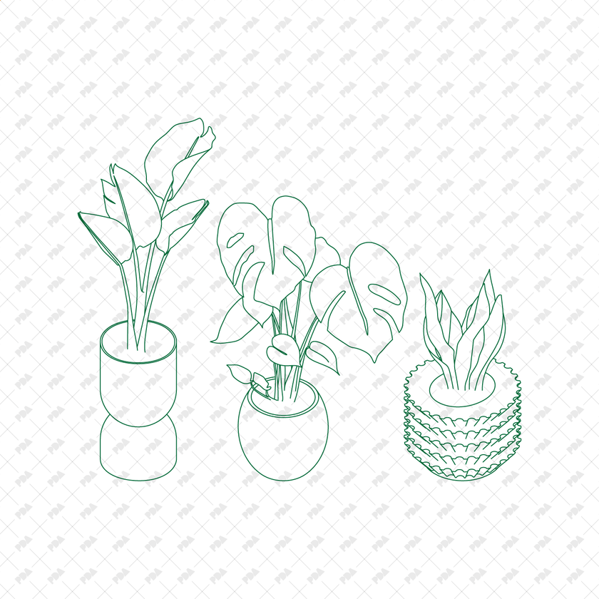 CAD, Vector Isometric Leafy Plants in Planters