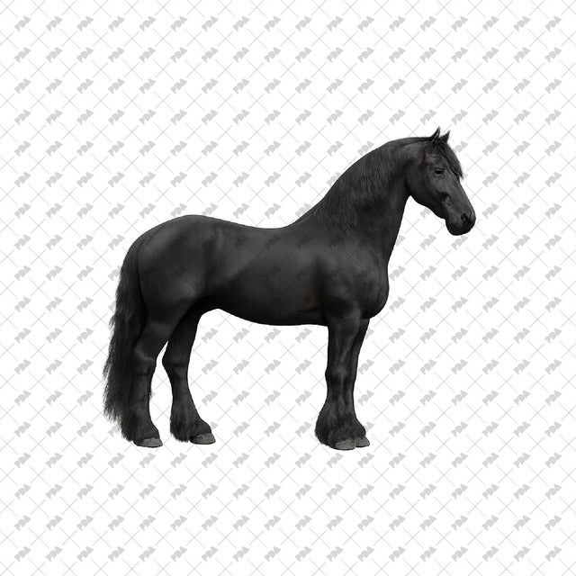 PNG Cutout Horses - Post Digital Architecture — Free and Affordable Resources for Architects