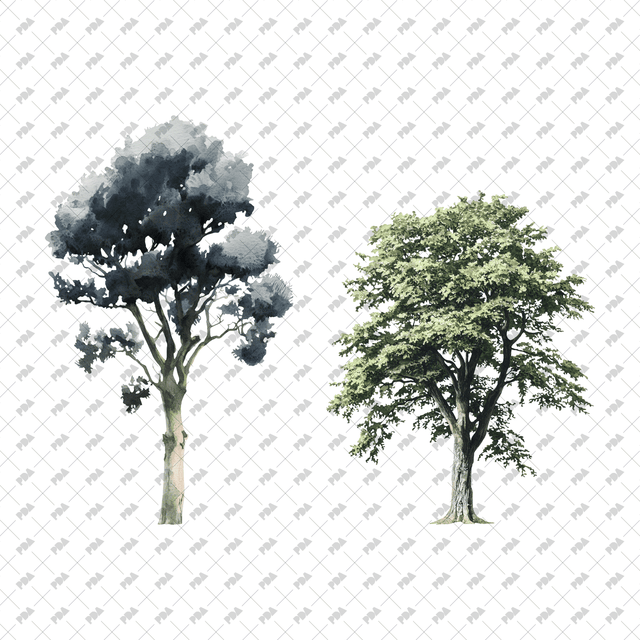 PNG Watercolor Trees - Post Digital Architecture — Free and Affordable Resources for Architects