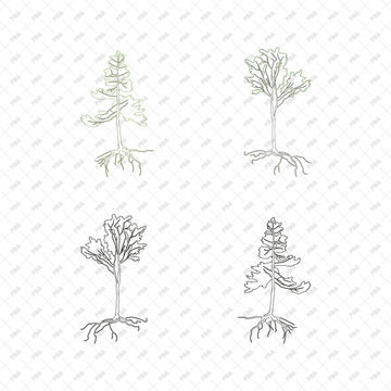 CAD, Vector Trees with Roots in Color and B/W