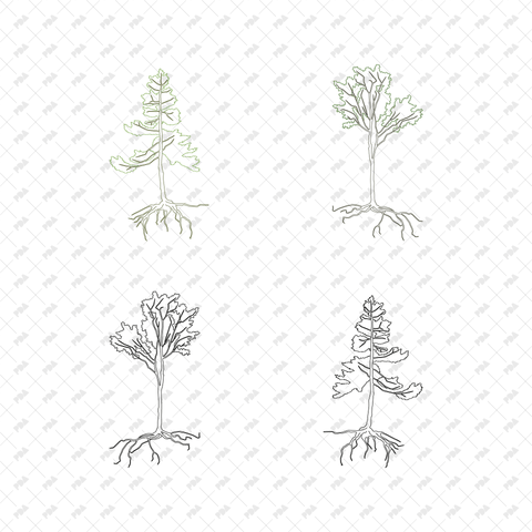 CAD, Vector Trees with Roots in Color and B/W