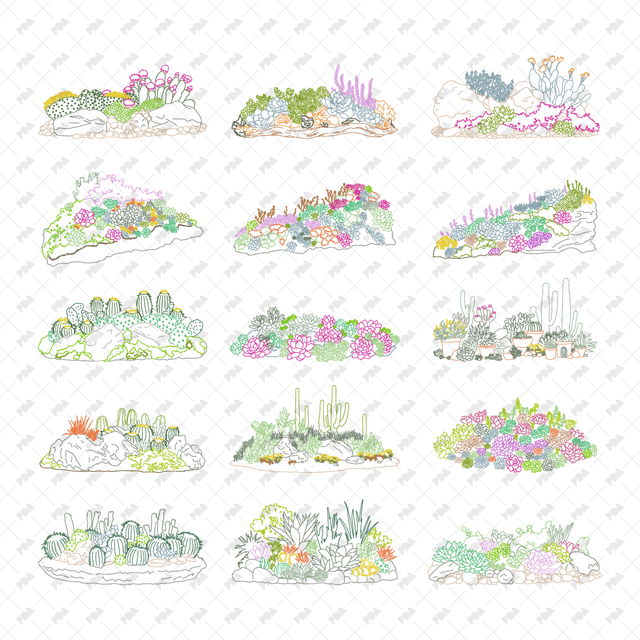 CAD, Vector, PNG Succulent and Cactus Beds in Color and B/W - Post Digital Architecture — Free and Affordable Resources for Architects