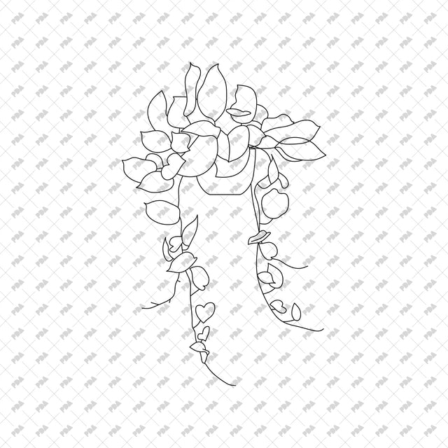 CAD, Vector Plants in Pots - Post Digital Architecture — Free and Affordable Resources for Architects