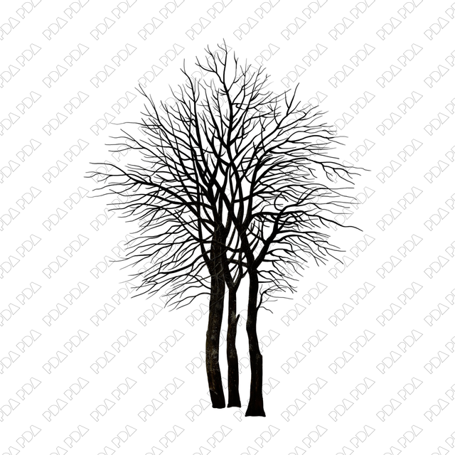Artcutout Trees Multi-Pack (50 PNGs) - Post Digital Architecture — Free and Affordable Resources for Architects