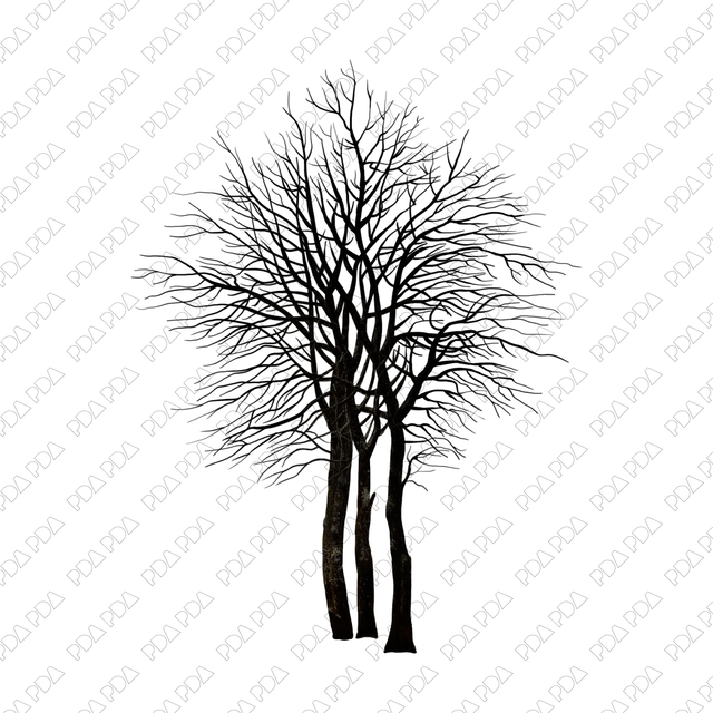 Artcutout Trees Multi-Pack (50 PNGs)