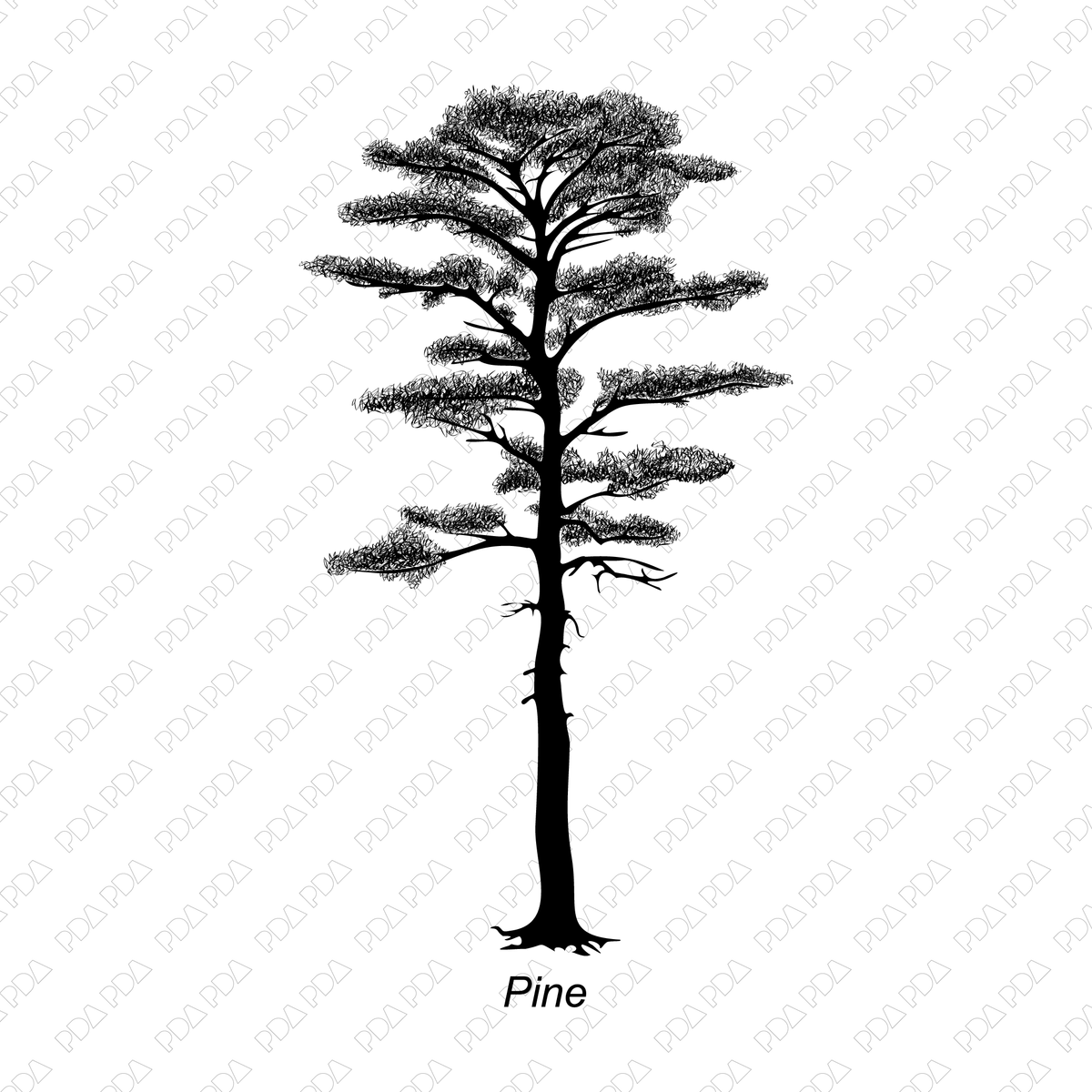 Vector and PNG Trees - 25 Side View Trees