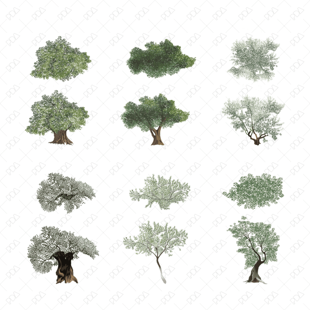 PNG Colorful Olive Trees (Topview + Sideview) - Post Digital Architecture — Free and Affordable Resources for Architects