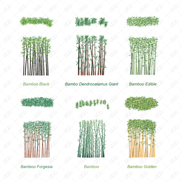 PNG Japanese Style Bamboo Plants (Topview + Sideview) - Post Digital Architecture — Free and Affordable Resources for Architects