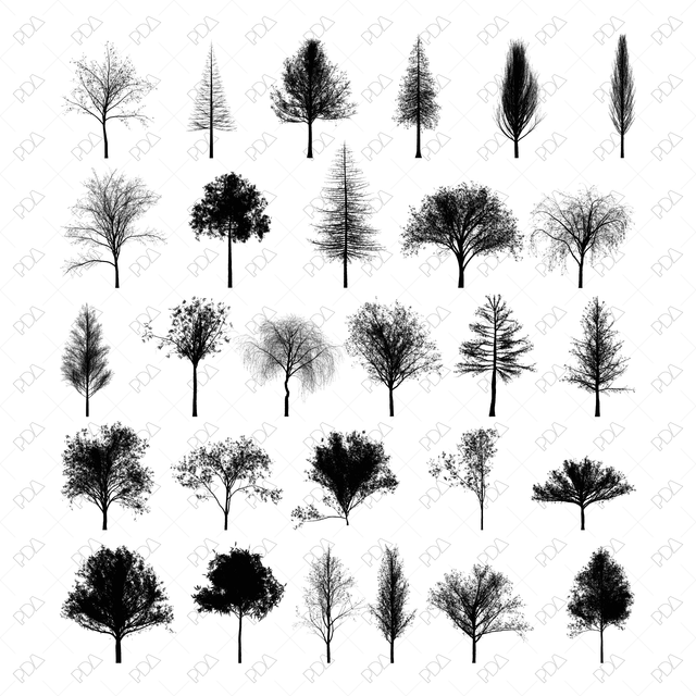 PNG Varied Tree Types Silhouettes Multi-Pack - Post Digital Architecture — Free and Affordable Resources for Architects