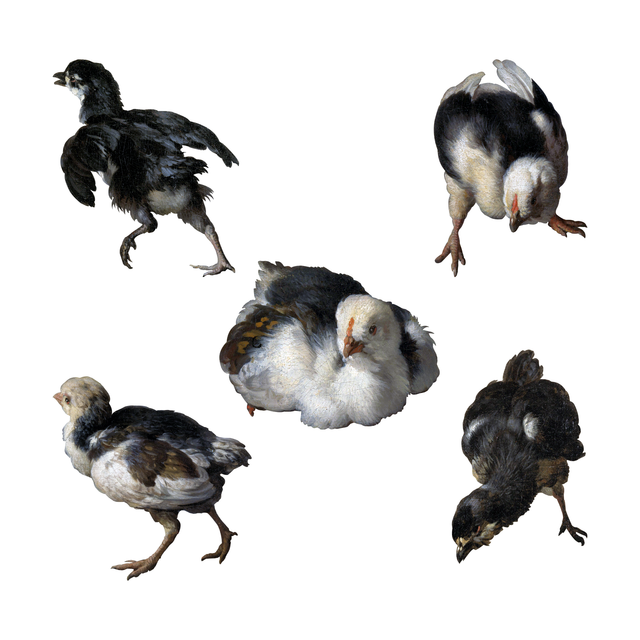 PNG Chicks by Melchior d'Hondecoeter Painter Set (FREE) - Post Digital Architecture — Free and Affordable Resources for Architects