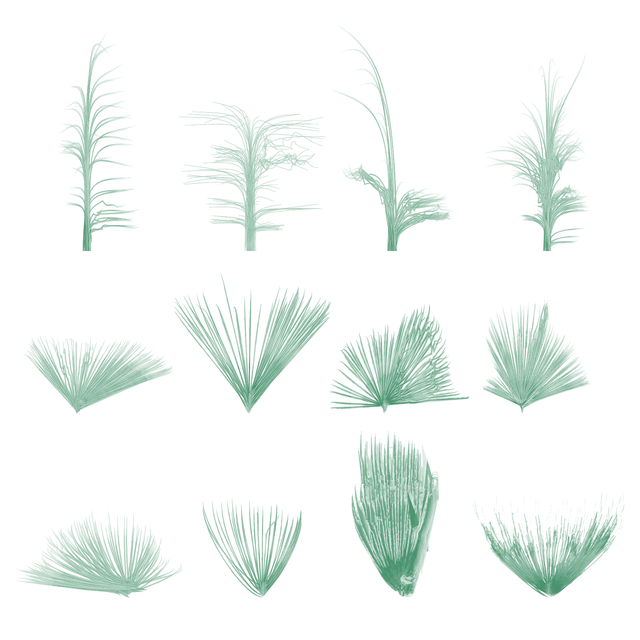 PNG Watercolor Grass Plants Set (Front View) - Post Digital Architecture — Free and Affordable Resources for Architects