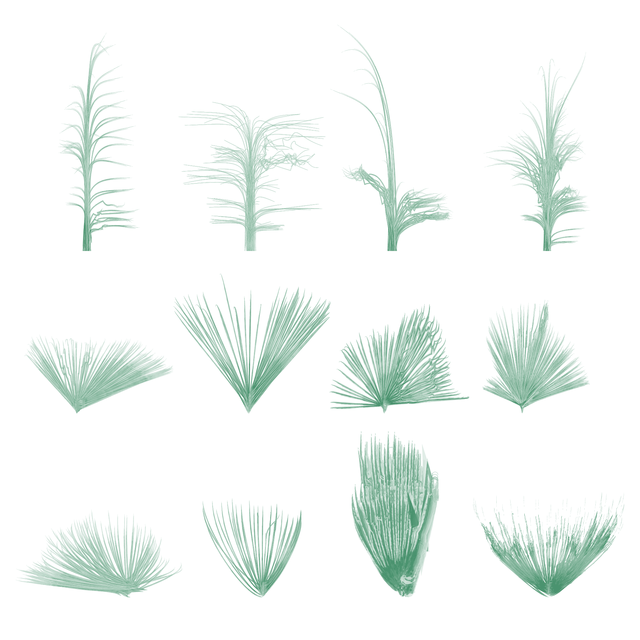 PNG Watercolor Grass Plants Set (Front View)