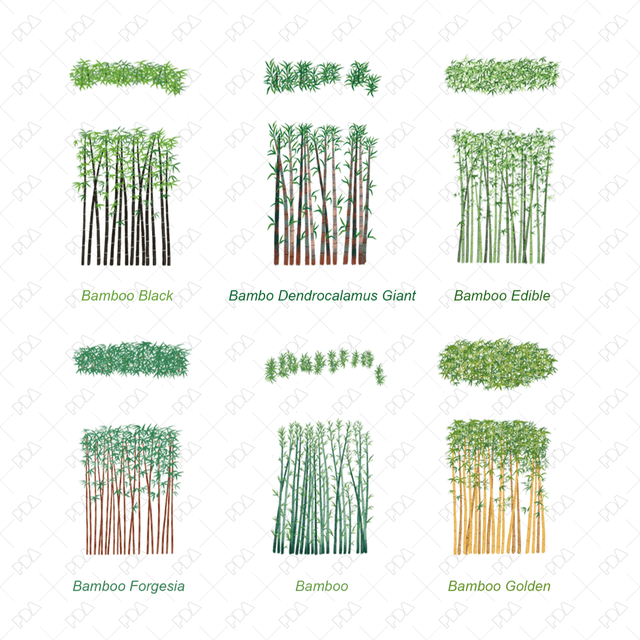 PNG Japanese Style Trees Multi-Pack 2 (Topview + Sideview) - Post Digital Architecture — Free and Affordable Resources for Architects