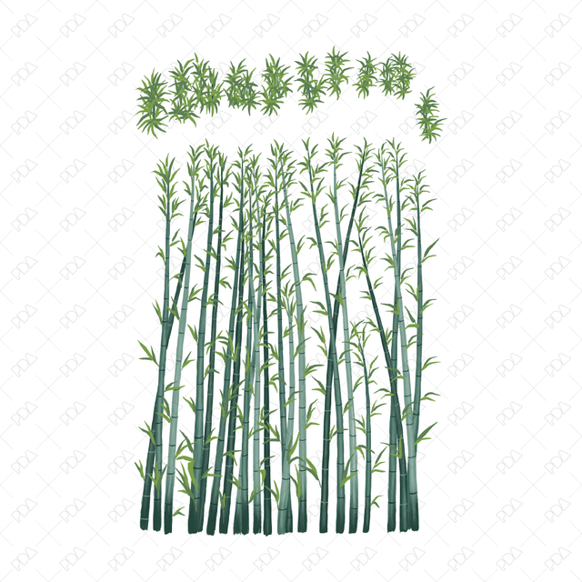 PNG Japanese Style Bamboo Plants (Topview + Sideview) - Post Digital Architecture — Free and Affordable Resources for Architects