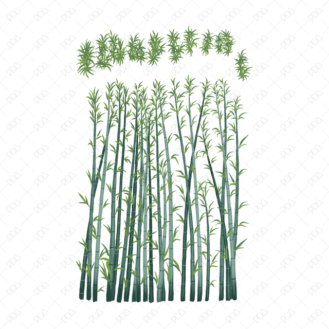 PNG Japanese Style Bamboo Plants (Topview + Sideview)