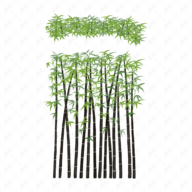PNG Japanese Style Bamboo Plants (Topview + Sideview) - Post Digital Architecture — Free and Affordable Resources for Architects