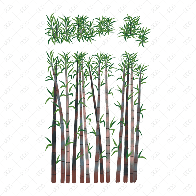 PNG Japanese Style Bamboo Plants (Topview + Sideview) - Post Digital Architecture — Free and Affordable Resources for Architects